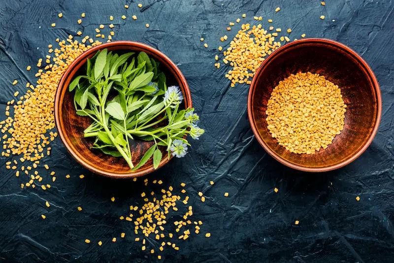 Methi (Fenugreek) Ayurvedic Benefits, Uses, and Side Effects